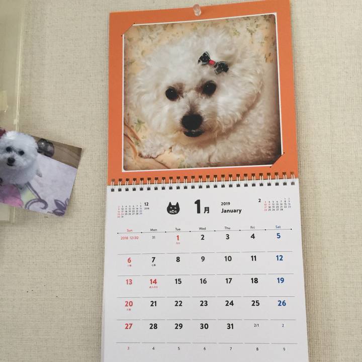 73bc570a f63e 4cf2 abc9 ddd43508106b 1546131289682