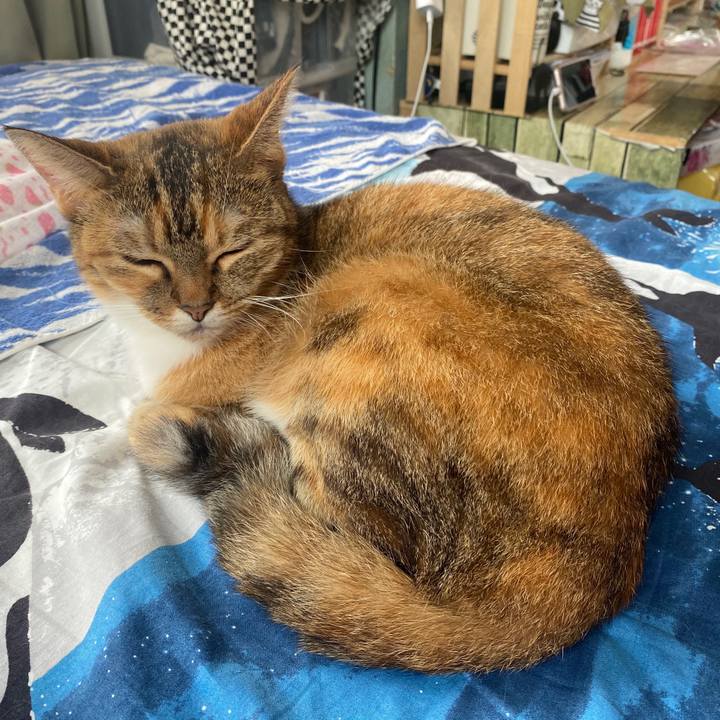 73bc9404 8bc9 4a63 b0e2 149a6995274a 1598328570711