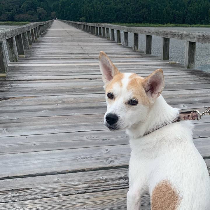 73bc9610 713f 4075 882d 922b2f2c1054 1696824362784