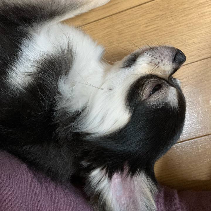 73bcc112 f0c6 402e 84a2 0587d9c222ff 1618150098527