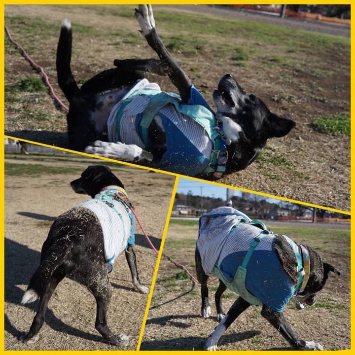 73bd1e7c b615 45df a68e 4c145ffe7594 1772929848028