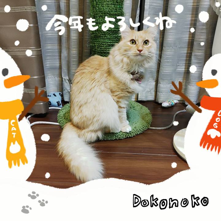 73bd55cf f996 4d2f 9375 239947fa37a3 1704104318391