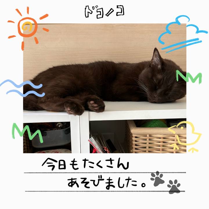73bd587a c79a 45b5 84b7 4396dc841d9c 1755350676606