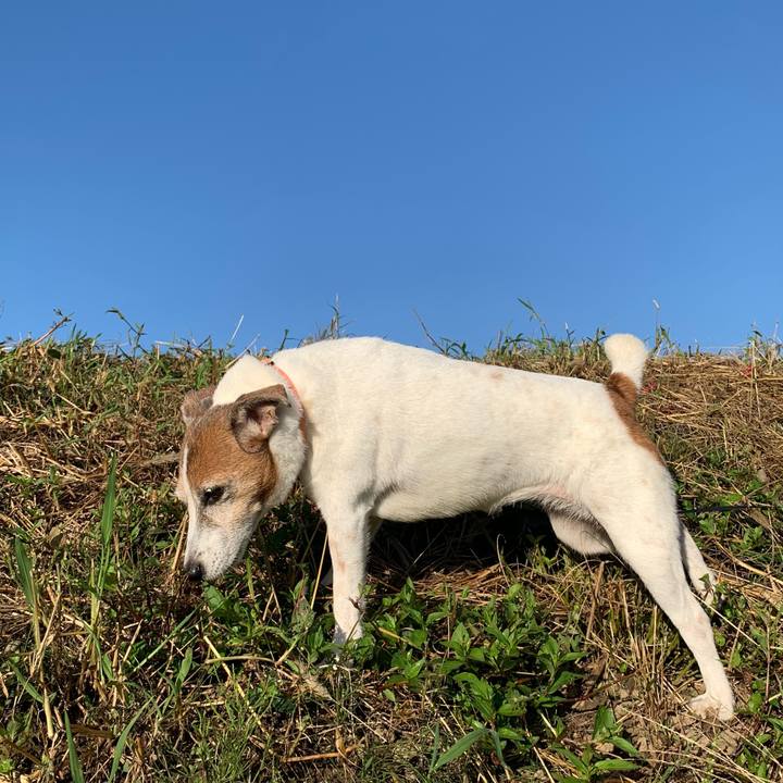 73bd635b 1113 4571 b05d e53384a7681f 1601591110553