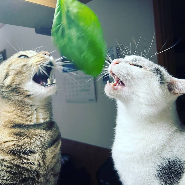 73bd6641 94ab 4046 ae73 5cf7d91ef5b4 1662035138252