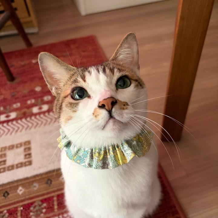 73bd7978 4806 40dd ba1c 2c79e1dcd140 1773452701740