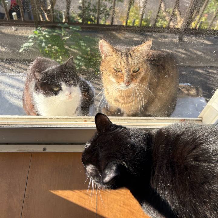 73bd9d52 d98c 49e5 a9f5 8b86c0117afa 1763553172470