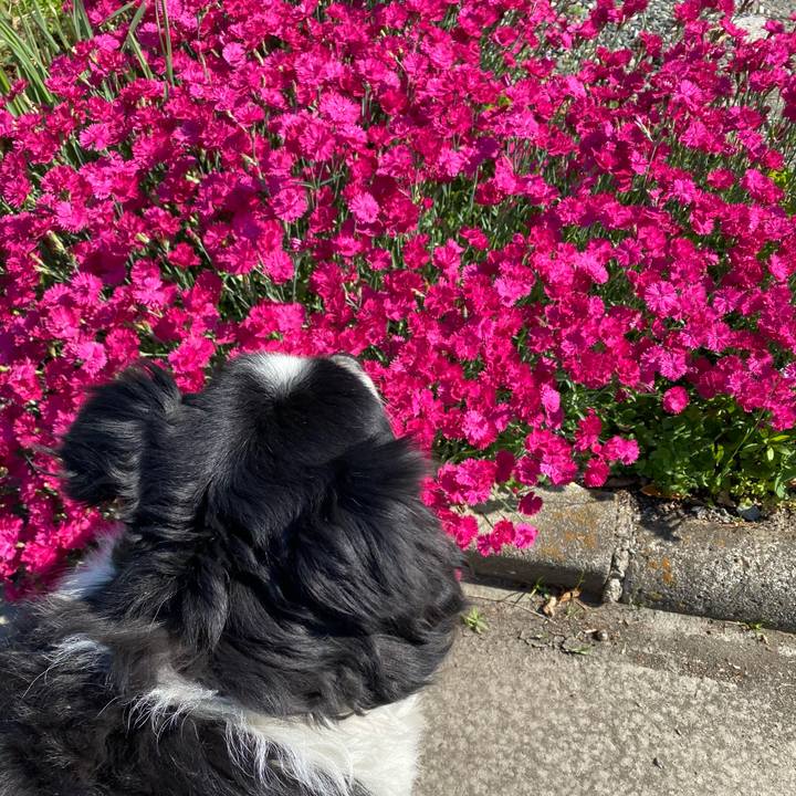 73bde193 4103 42db 8720 727ff8230f3a 1618885740327