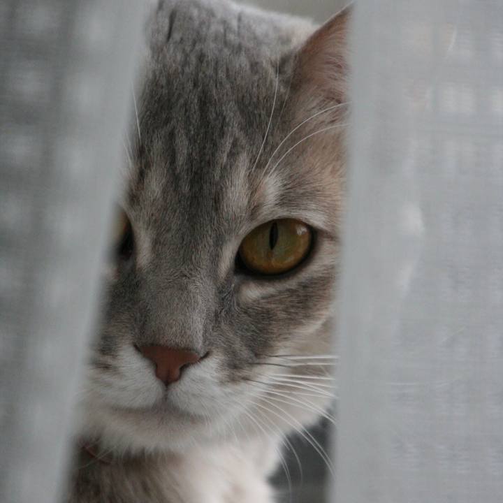 73be1943 882f 422f bb8f 39f038c04b0a 1512862217136