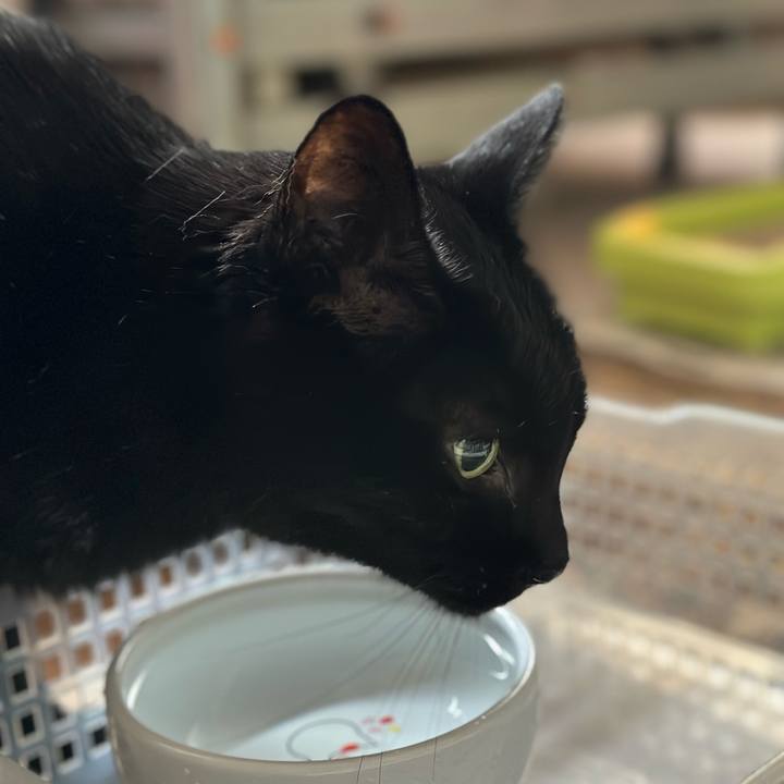 73be2690 4183 4745 9cdf 94c5c5329318 1701047791073