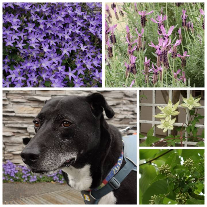 73be2d28 c43c 4342 bc0b a6bc005e1396 1714957123362