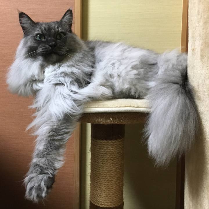 73be623c a444 4187 a8c4 b673be991385 1513261342670