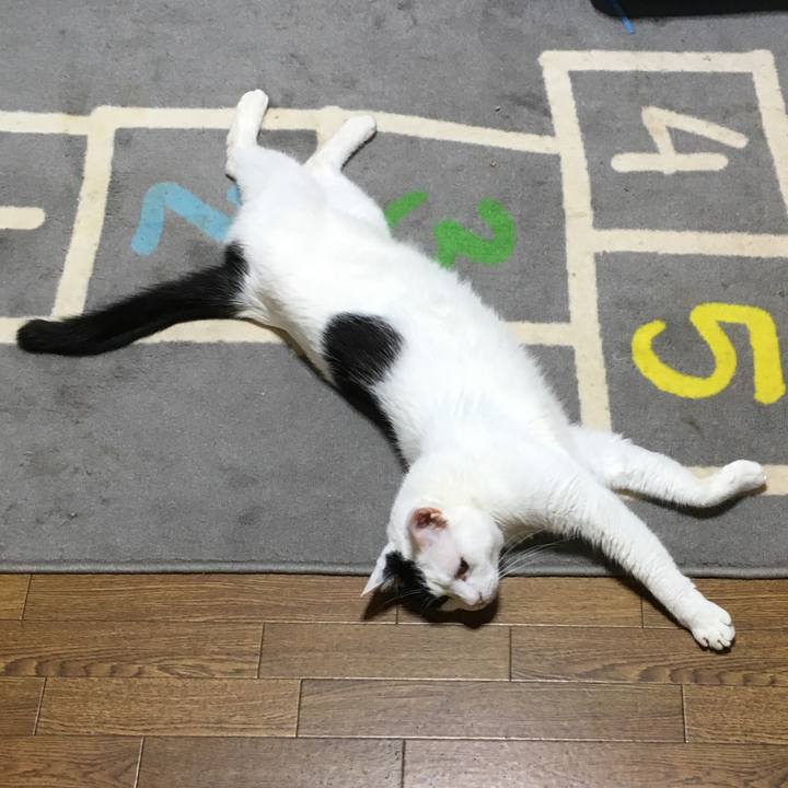 73be95c8 871b 4f69 bab9 782b1bfba316 1526667973187