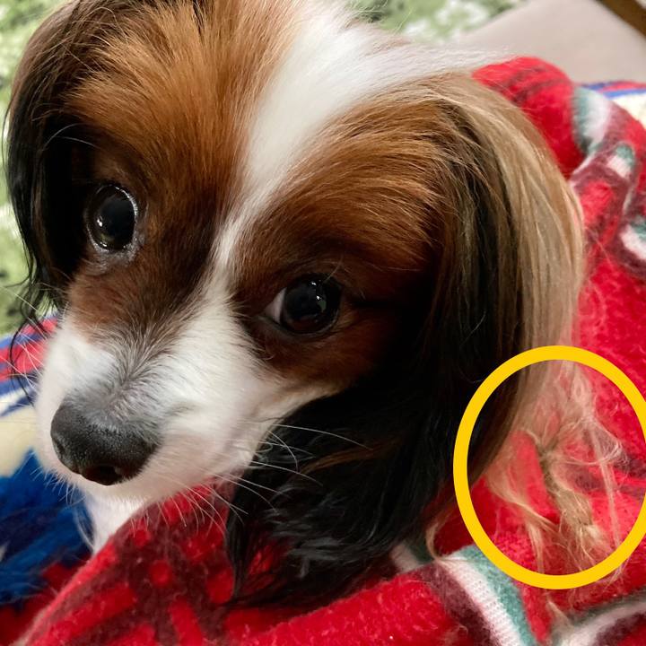 73bea1f1 67cc 4fdf ad43 0f97b436098d 1638231384568