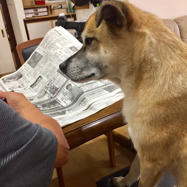 73bec4d1 894c 4b6f 9ed7 d58d22f59ee8 1532651835023