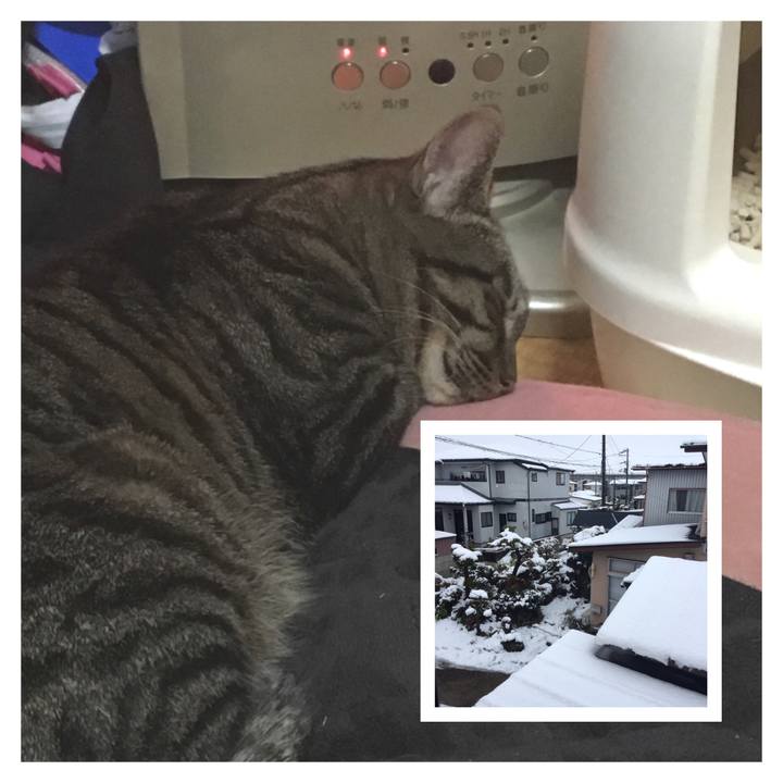 73bee5d0 d38b 4003 8660 8a0c151dd0e0 1554938901528