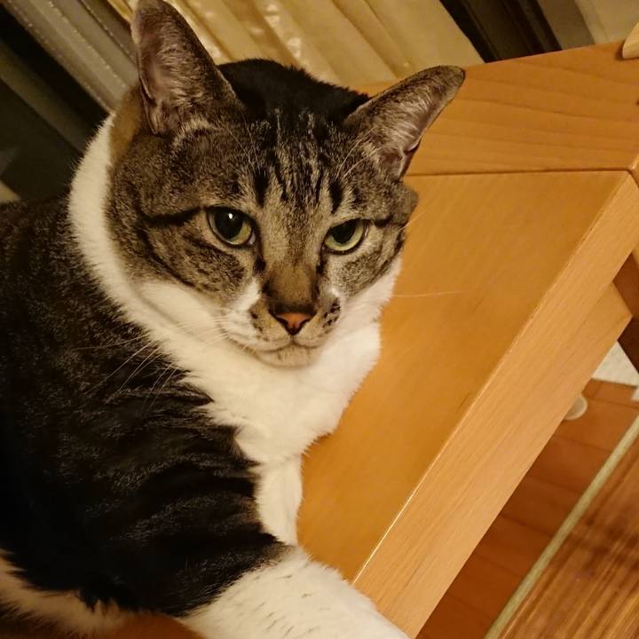 73beedc1 faa2 4a42 a773 8749242f2ac8 1539171629870