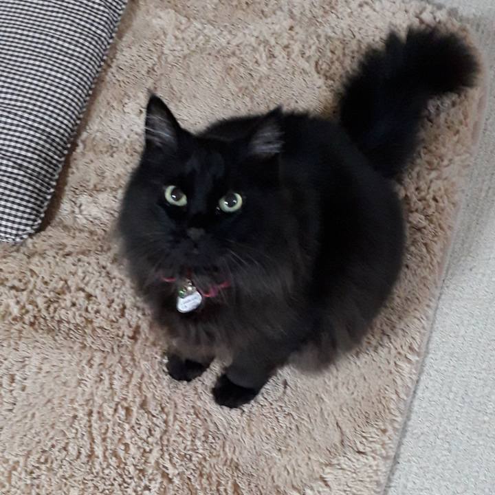 73bf4967 3de2 48b0 a3c3 a304520a6f3f 1521659224849