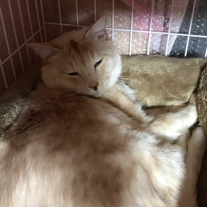 73bf6027 e7c1 484b 9528 2aae04745931 1554034987695