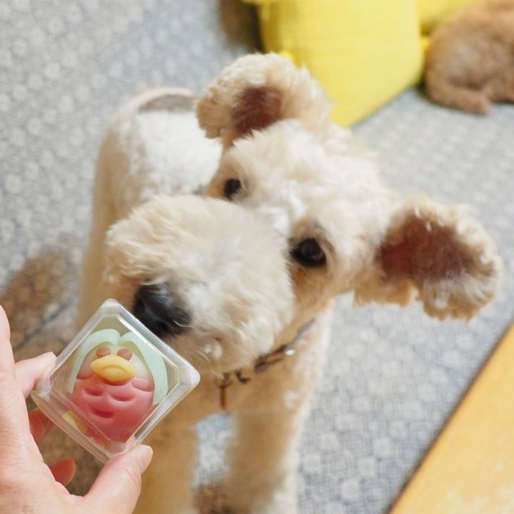 73bf6c2e 21e6 4452 ad4b 703ff304d205 1593608438649