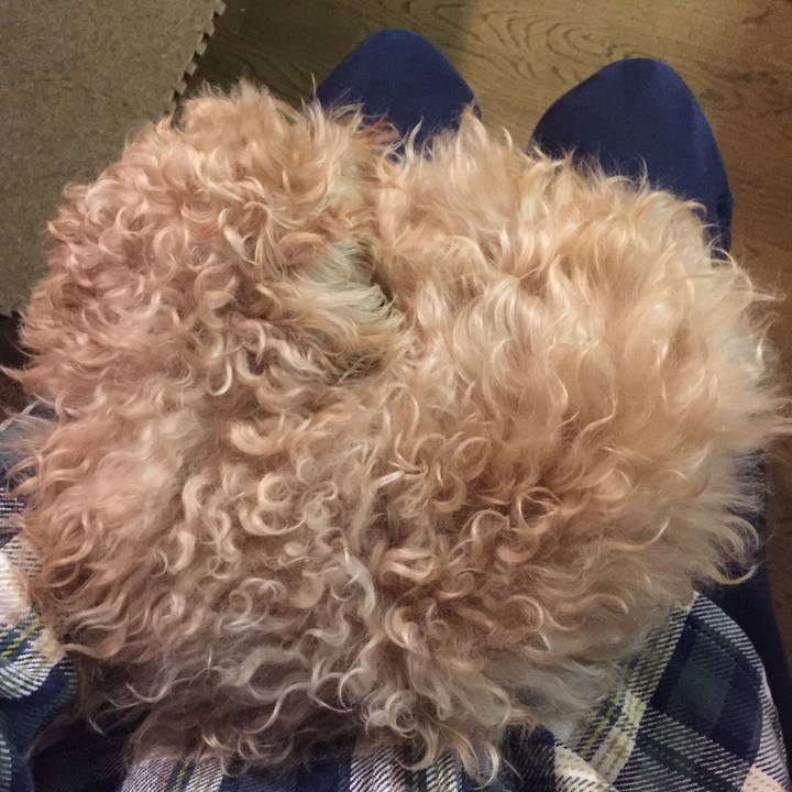 73bf84d4 2015 4d1c 8e55 fdac4426268d 1516619845870