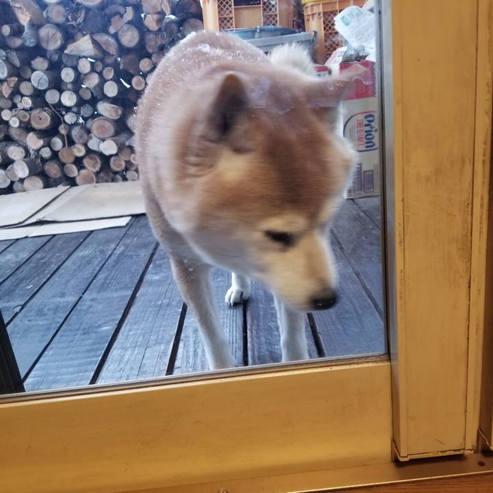 73bfc732 810b 45f0 bdfd 537743abaffd 1738624897299