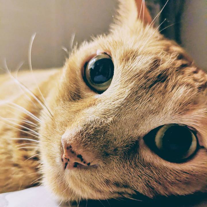 73bfdd25 6b16 4bd8 a650 4df8760c6c6c 1756718934917