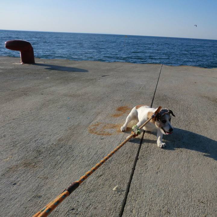 73c01117 9e8d 49e0 bd51 4d76440c5f19 1556949449173