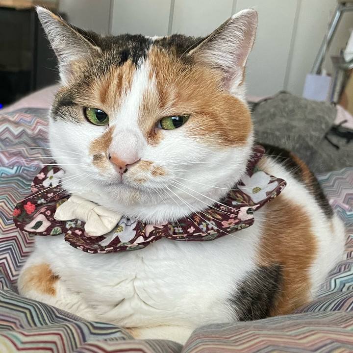 73c0399d b9c2 4428 aec5 065627603d2d 1740440080396