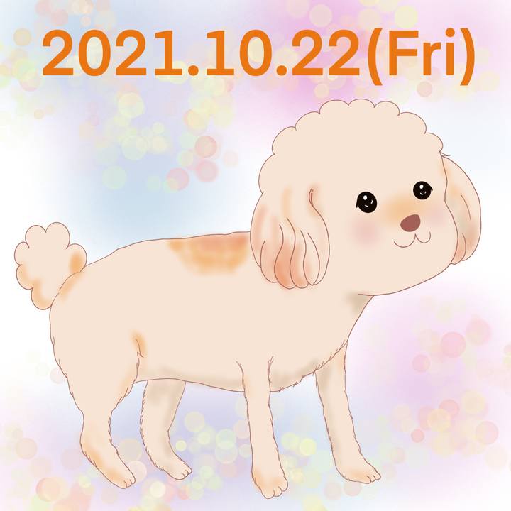 73c06783 8797 4733 af46 3016162d2106 1634902357292