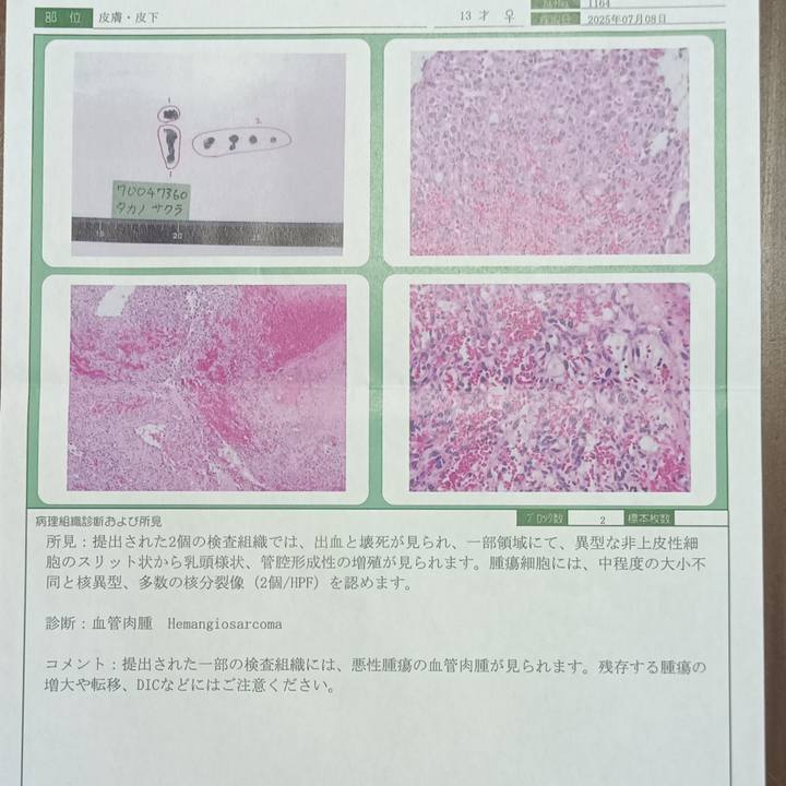 73c0cce0 66bc 4794 98f2 037352a2c1e5 1752817198478