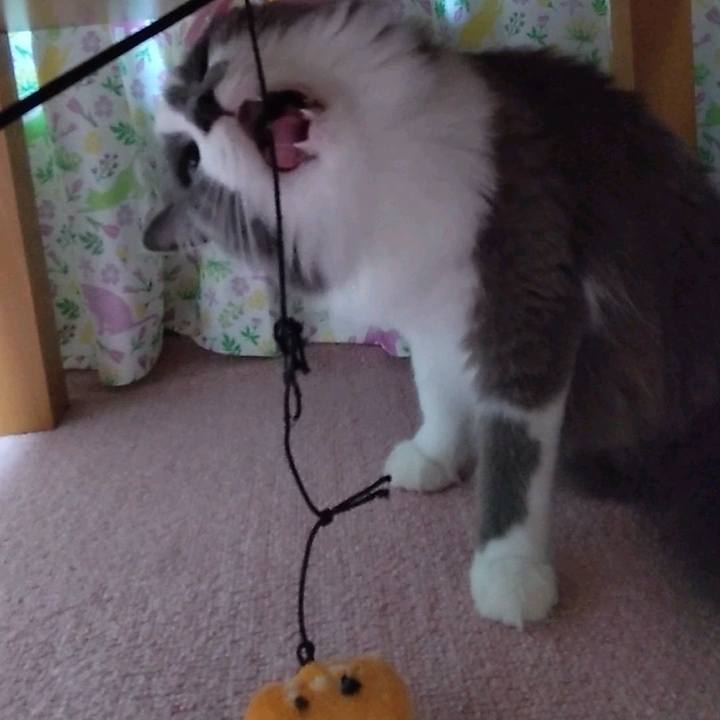 73c0e803 25cb 4903 81af da072dce1f81 1633862830887