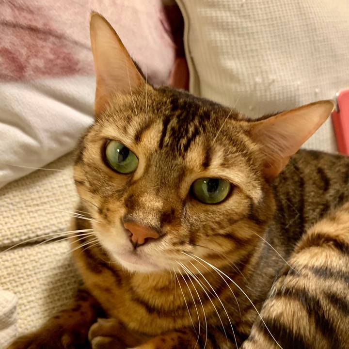 73c0f41c 84a8 40e2 9589 d3aa6a6d21dd 1569973590860