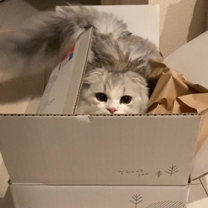 73c10e6c c0e7 4699 8267 395ba75b3dc5 1605333604775