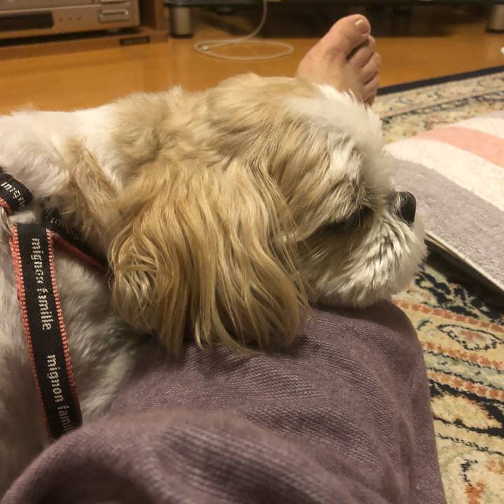 73c158b9 b56e 42fd 8252 d5cff0e80622 1621978927538