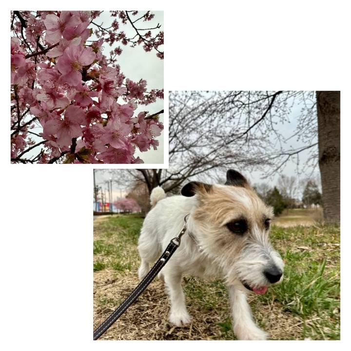 73c15901 2d32 4dd8 a8dd 351e30b28784 1741877441592