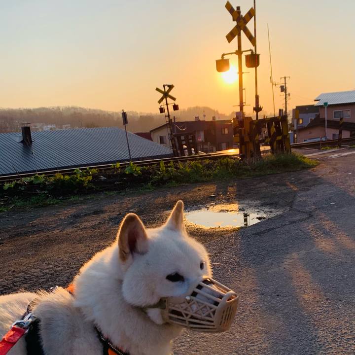 73c169ff 541d 4028 9dd9 5a574d4a4259 1618868702612