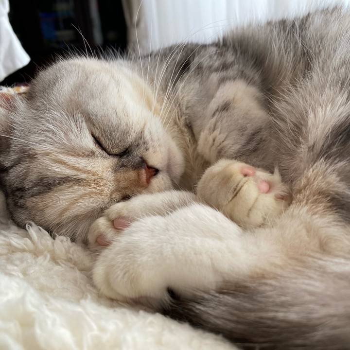 73c190a9 c9f0 4231 8f45 098820c9cd0b 1775432751724