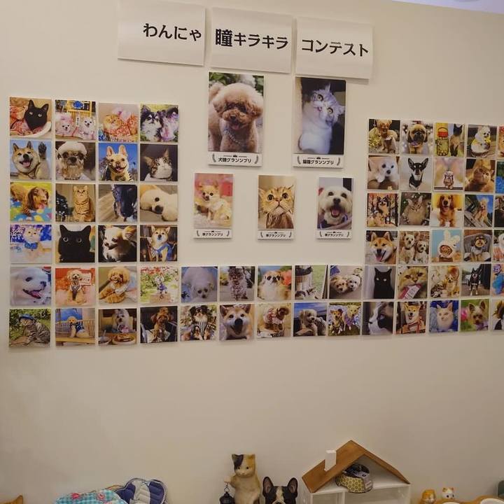 73c19664 ed61 42fa a550 daf2f0a69c95 1689576827382