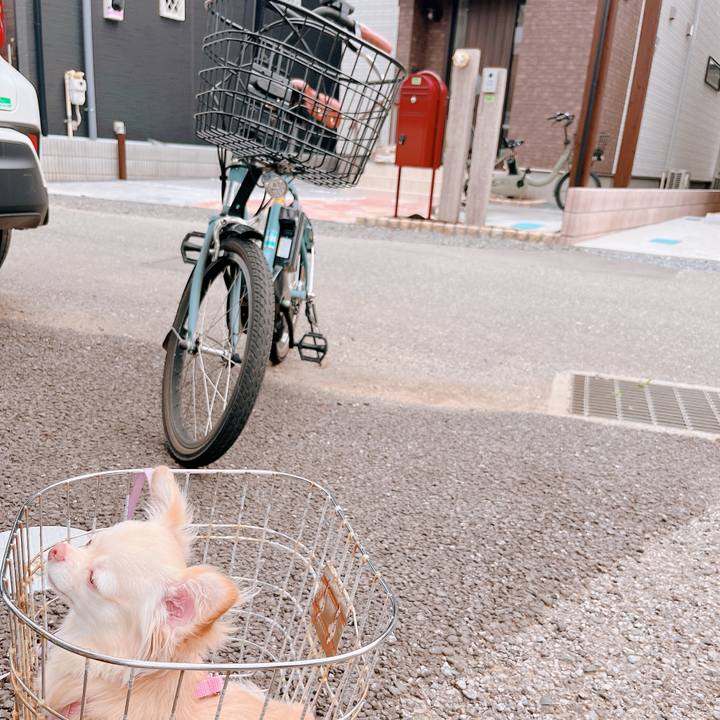 73c1a470 86c1 41d7 a0b3 9c701fb1b47d 1659762294292