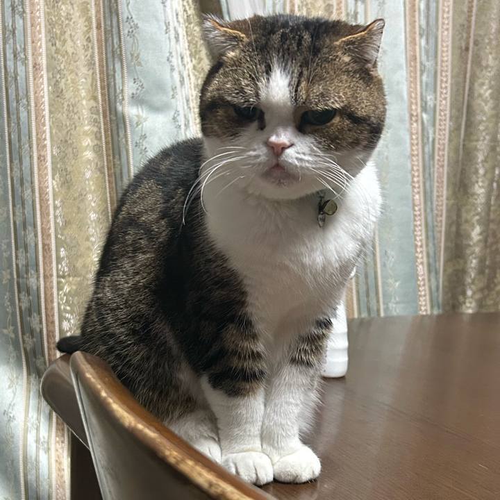 73c1b6e0 3117 473c 9a0f 3a7e072f0605 1762721094201