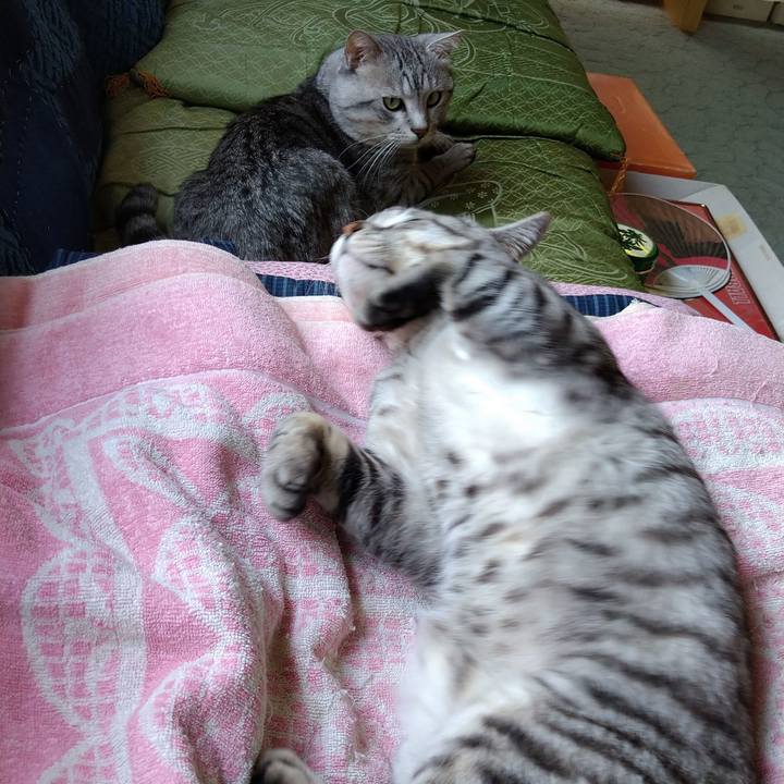 73c1b99f 3828 4b56 bedb 9c7d759f2a0e 1653099392352