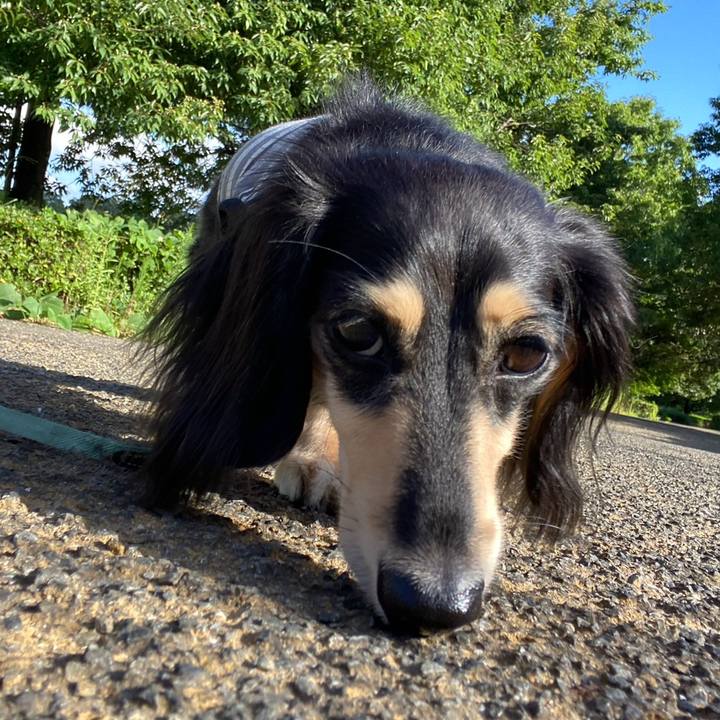 73c1e6a5 8af0 4462 b50a 4f68bde99a52 1753831761595