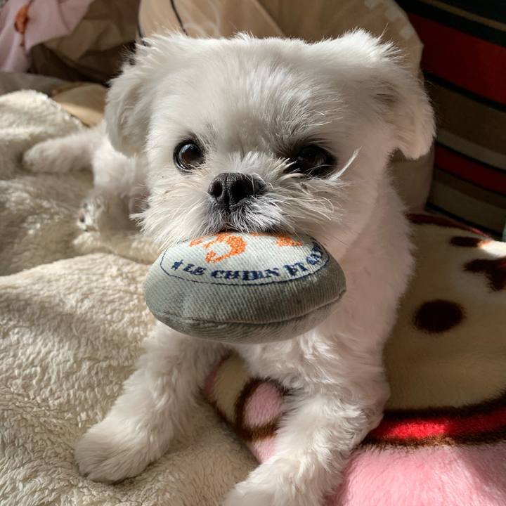 73c1ee47 9acc 4f46 a8c4 c1f5e9c78206 1645946010475