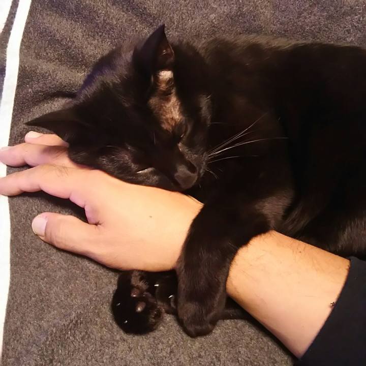 73c1f68c a790 419a 9432 f4be589bb924 1541206637371