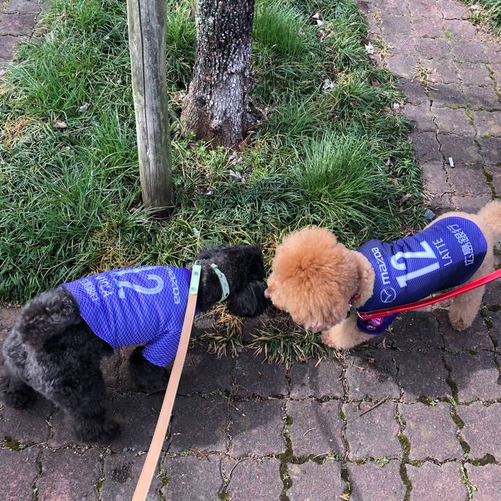 73c21c49 d89c 4498 be4f 1527527de9fc 1614402447994