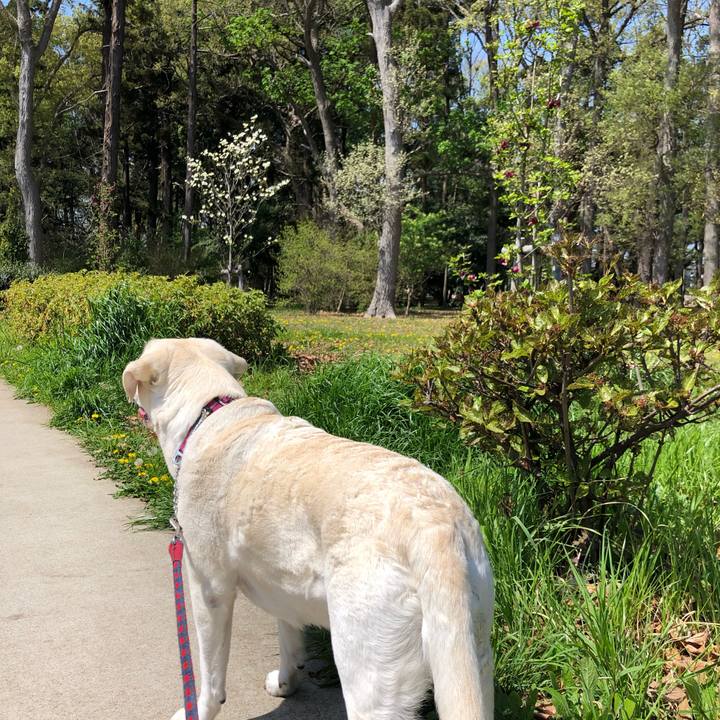 73c22c3f 0867 4452 b281 a467da609e34 1649816882795