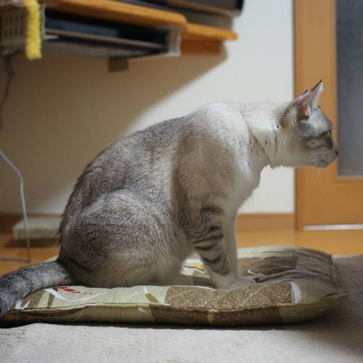 73c22d61 37c5 4c02 a828 c443a4882bac 1533026144143