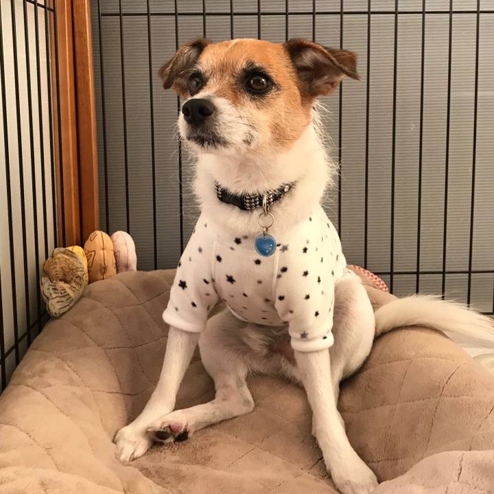 73c22d7b a637 4923 94db e9adeb5c1d2b 1546470195985