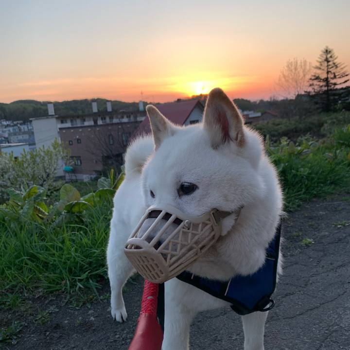 73c23be9 9dbd 4c1f 9c9d ac249b191027 1652128694177